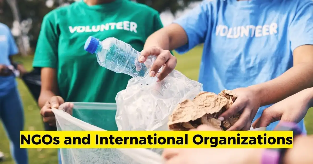 NGOs and International Organizations